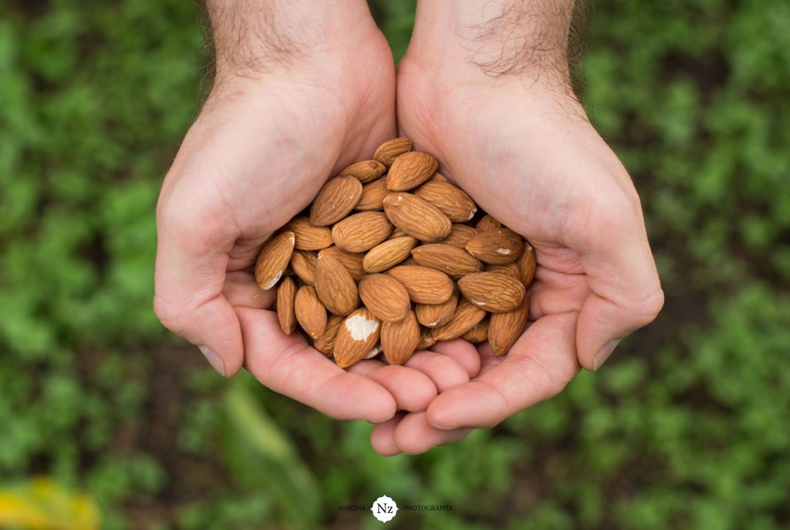 Almonds. Also referred to as food diamonds. 